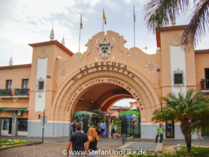 Santa Cruz de Tenerife, Kanarische Inseln, Spanien