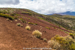 Teide Nationalpark, Kanarische Inseln, Spanien