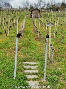 Baden-Württembergs höchster Weinberg bei Weilheim, Deutschland