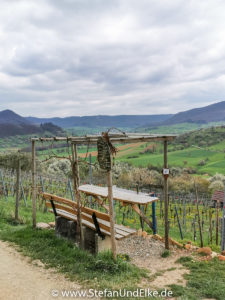 Baden-Württembergs höchster Weinberg bei Weilheim, Deutschland