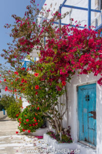 Es ist einfach herrlich, die verwinkelten Gassen der Chora der Insel Astypalaia zu erkunden